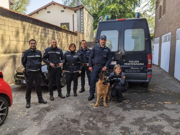 Consumo di droga: segnalati un 18enne e due minorenni, anche grazie al fiuto di Asia, un pastore tedesco