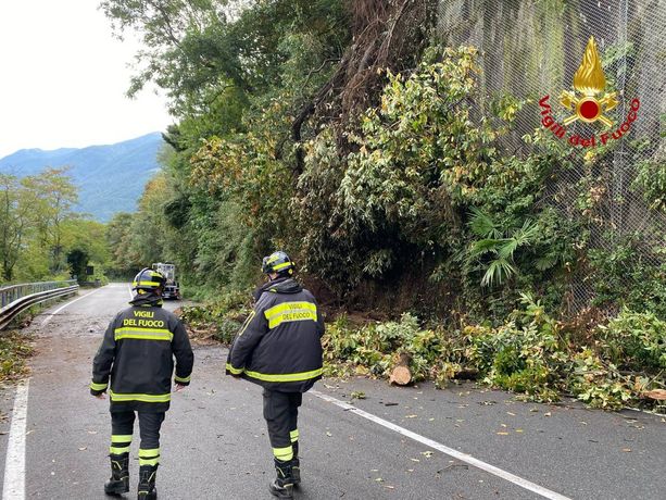 FOTO. Frana a Maccagno: due metri cubi di terra, rocce e piante sulla statale 394. Strada interrotta e traffico in tilt FOTO. Frana a Maccagno: due metri cubi di terra, rocce e piante sulla statale 394. Strada interrotta e traffico in tilt