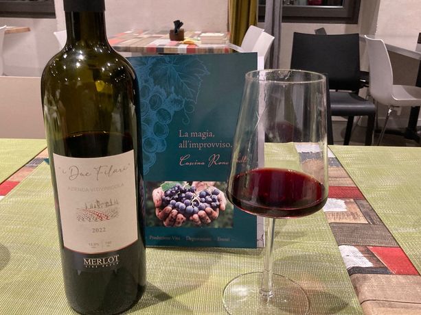 Cent'anni di solitudine, poi la ripartenza. Ora i vini di Varese puntano a Vinitaly Cent'anni di solitudine, poi la ripartenza. Ora i vini di Varese puntano a Vinitaly