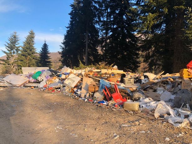 FOTO. Una ferita nei nostri boschi: eternit, mattoni, pneumatici e maiali. Viaggio nella discarica abusiva sequestrata dai carabinieri