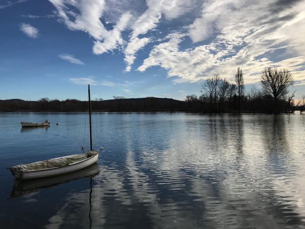 CHE FARE NEL WEEKEND - Tante sagre, fiere ed escursioni per il primo fine settimana estivo CHE FARE NEL WEEKEND - Tante sagre, fiere ed escursioni per il primo fine settimana estivo