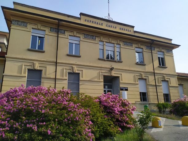 Punto da un tafano ad Angera, 56enne finisce al pronto soccorso Punto da un tafano ad Angera, 56enne finisce al pronto soccorso