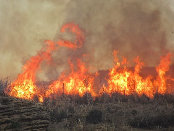 Avviata un’azione legale collettiva per la prevenzione degli incendi in Sicilia Avviata un’azione legale collettiva per la prevenzione degli incendi in Sicilia