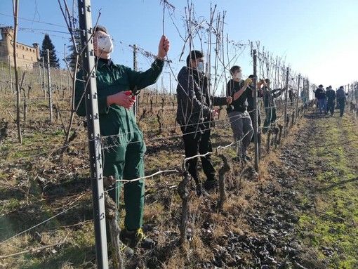I mestieri tecnico-pratici ricominciano a guadagnare consensi tra i giovani