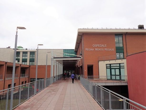 Genero e suocero folgorati mentre stavano lavorando: in codice giallo all'ospedale di Mondovì Genero e suocero folgorati mentre stavano lavorando: in codice giallo all'ospedale di Mondovì