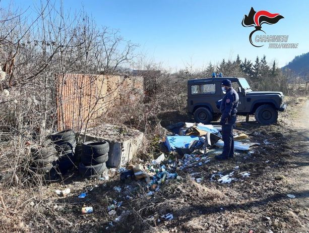 Reati ambientali: 700 illeciti amministrativi e 293 denunce nel 2021 dei Carabinieri Forestali Reati ambientali: 700 illeciti amministrativi e 293 denunce nel 2021 dei Carabinieri Forestali