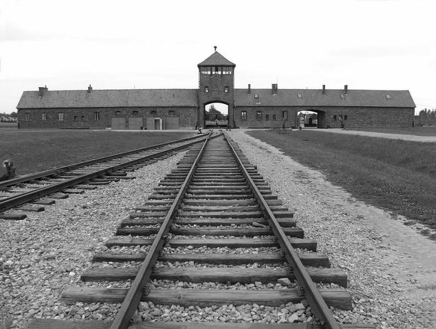 ‘Auschwitz è di tutti’: incontro a più voci con la Fidapa di Pinerolo