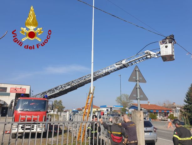 Palo pericolante su via Val Pellice, i vigili del fuoco lo mettono in sicurezza