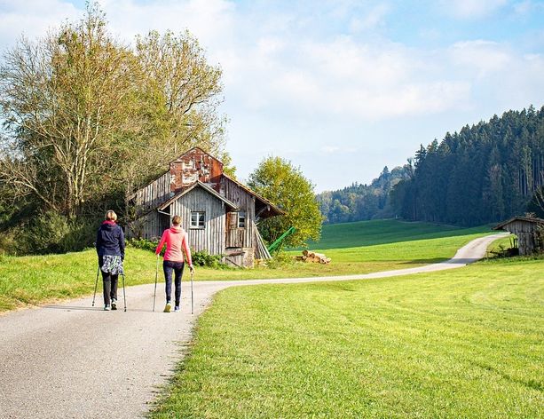 Una ‘domenica sportiva’ a Torre Pellice, dall’hockey al nordic walking