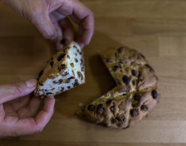 Pandolce genovese basso, domani si premia il migliore Pandolce genovese basso, domani si premia il migliore