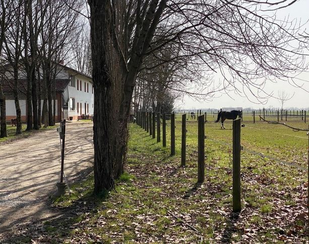 Sequestro a Pinerolo: “Hanno messo tra i dopanti anche le pastiglie della pressione di mio padre”