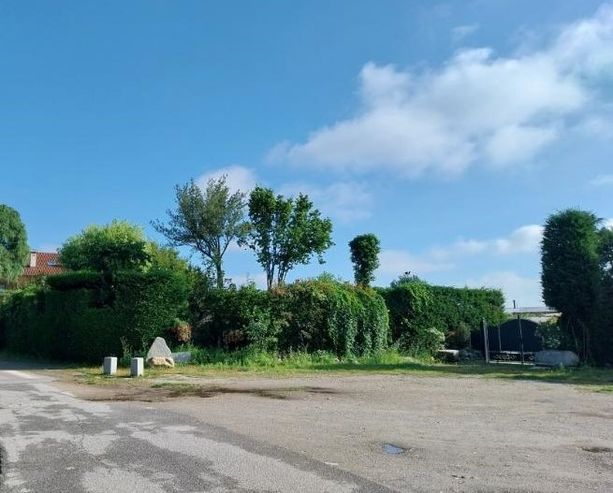 Riaprirà a giorni la piscina comunale di Cavour Riaprirà a giorni la piscina comunale di Cavour