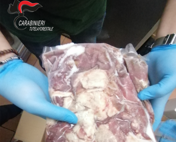 Alimenti scaduti o privi di etichettatura: sanzioni per 149mila euro a esercizi e locali pubblici in diverse località della Granda Alimenti scaduti o privi di etichettatura: sanzioni per 149mila euro a esercizi e locali pubblici in diverse località della Granda