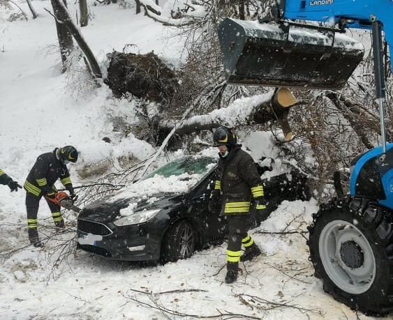 Paura al Campo dei Fiori, albero cede sotto la neve e piomba su un'auto sfiorandone un'altra
