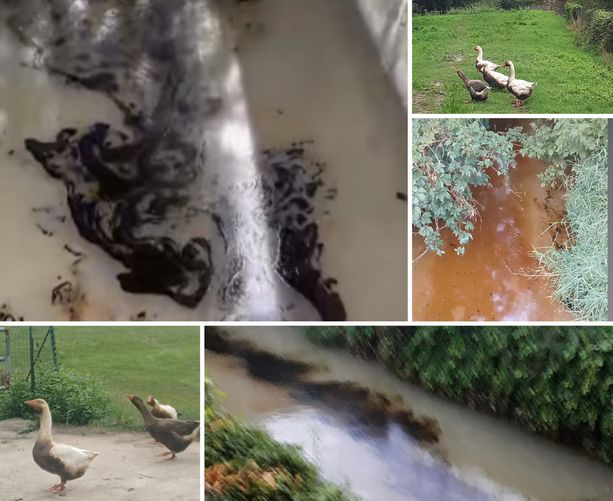 Ignoti sversano combustibile liquido nella bealera tra Baraccone e Magliano Alfieri