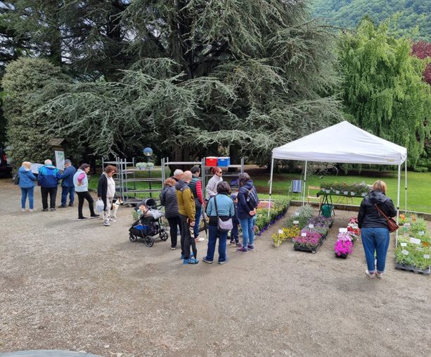 San Germano Chisone festeggia la primavera con la fiera e la solidarietà San Germano Chisone festeggia la primavera con la fiera e la solidarietà