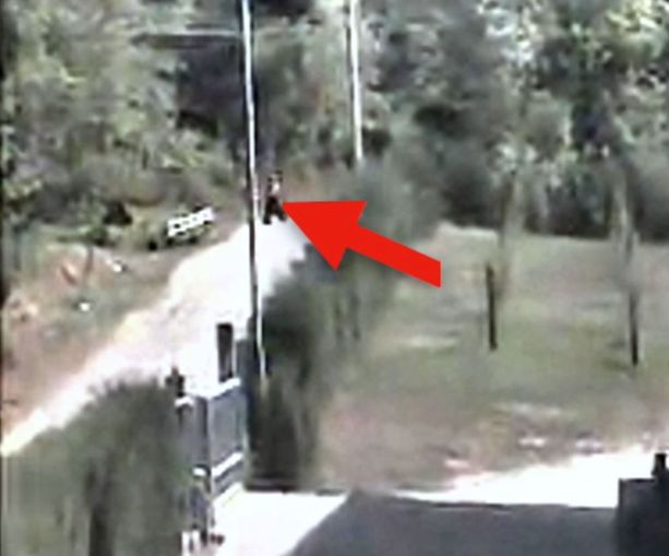 In sette denunciati con l'accusa di aver provocato incendi boschivi