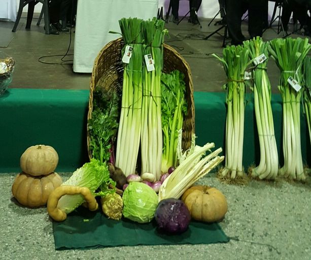 Ufficiale, salta l'edizione 2020 della tradizionale fiera del Porro di Cervere Ufficiale, salta l'edizione 2020 della tradizionale fiera del Porro di Cervere