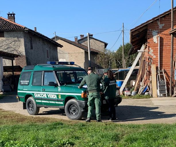 Giacche Verdi Torino: 84 sanzioni elevate nel 2021 Giacche Verdi Torino: 84 sanzioni elevate nel 2021