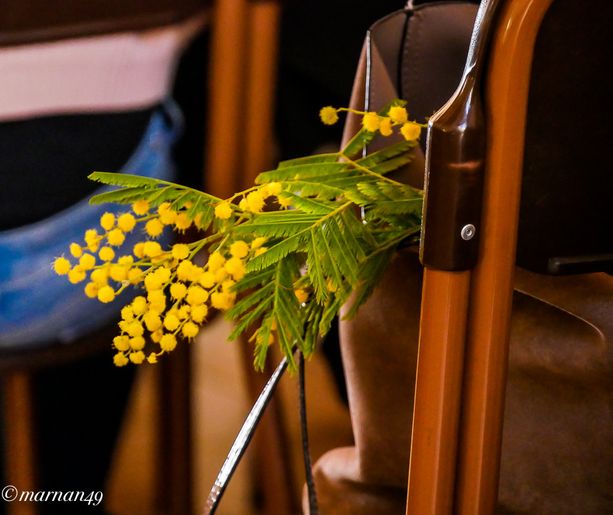 Oggi è la Festa della Donna: nella nostra provincia venti accessi al centro antiviolenza in due mesi Oggi è la Festa della Donna: nella nostra provincia venti accessi al centro antiviolenza in due mesi