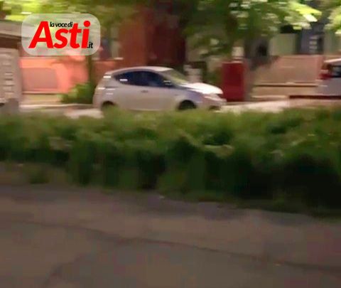 "All'angolo tra via Brovardi e via Petrarca mi trovo di fronte ad una "foresta". Il Comune intervenga" [FOTO]