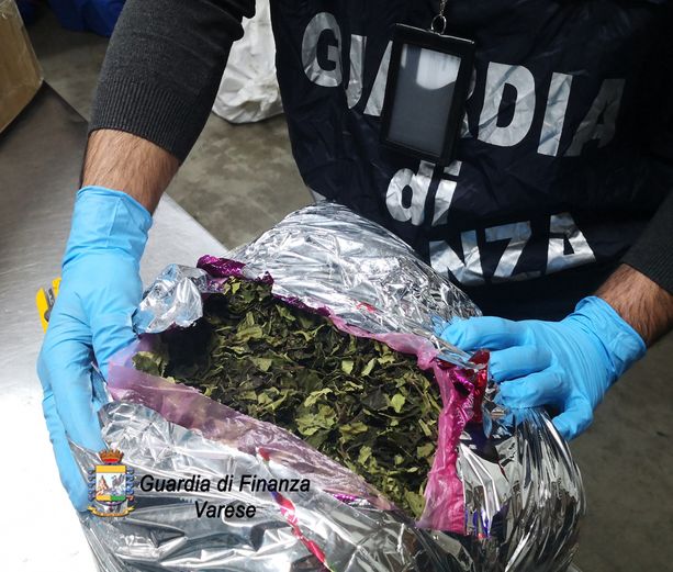 Maxi operazione della Guardia di Finanza di Malpensa: in 18 mesi sequestrati 900 chili di droga, 26 arresti e 17 denunce