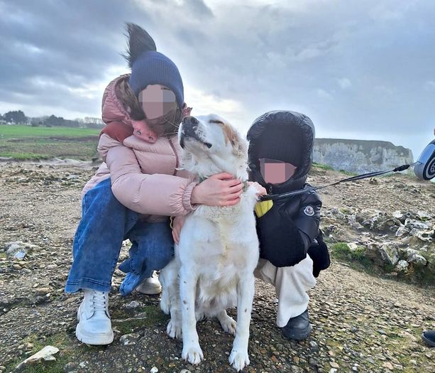 La denuncia di una famiglia di Castagnito: "Il nostro cane ucciso da un proiettile calibro 22" La denuncia di una famiglia di Castagnito: "Il nostro cane ucciso da un proiettile calibro 22"