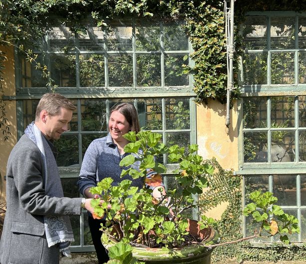 Serre de la Madone di Mentone compie 100 anni: incontro con l'equipe di Hidcote Manor Serre de la Madone di Mentone compie 100 anni: incontro con l'equipe di Hidcote Manor