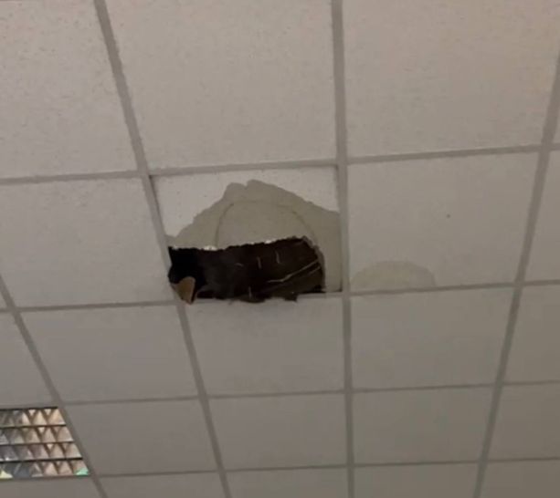 Crolla una porzione di soffitto ai licei di Mondovì [VIDEO]