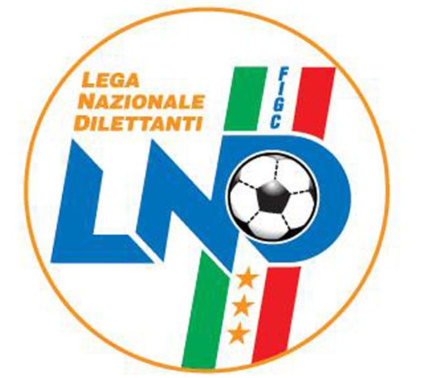 Occorre attendere per la riforma del calcio perché non c’è ancora l’accordo tra le leghe professionistiche