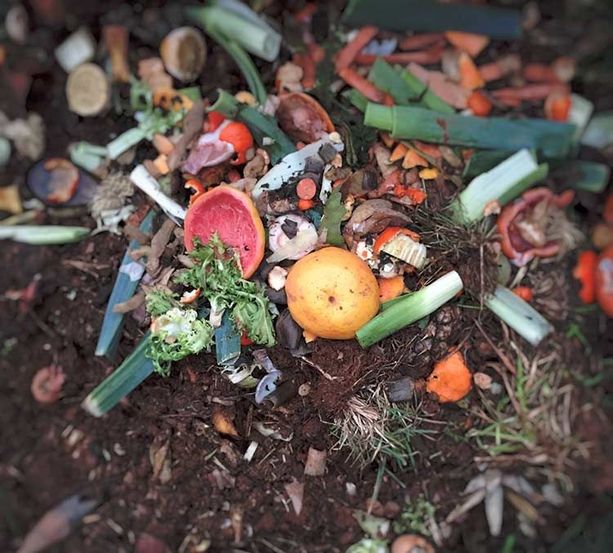 Impianto a biometano a Caluso: il &quot;no&quot; di Vox Italia