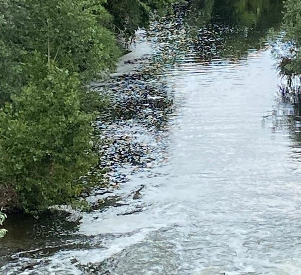 Litiga con i genitori e si butta nel Sangone: la pioggia che gonfia il fiume "salva" una ragazzina a Nichelino Litiga con i genitori e si butta nel Sangone: la pioggia che gonfia il fiume "salva" una ragazzina a Nichelino