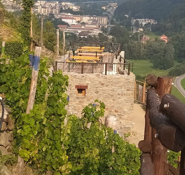 Escursioni per conoscere Pomaretto e il suo Ramìe