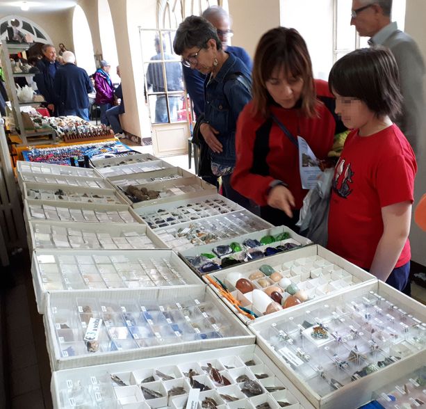 Anche i cercatori d’oro arrivano al Palaghiaccio di Torre Pellice