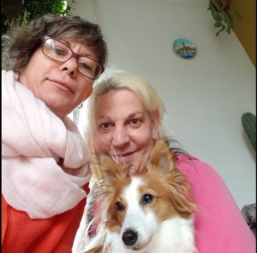 Violenta aggressione a San Damiano: al vaglio possibili correlazioni con un episodio omofobo del 2018