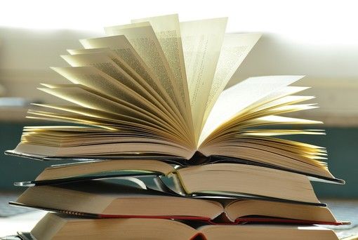 È in libreria ‘501 quiz per gli amanti dei libri’, un gioco che allena la mente