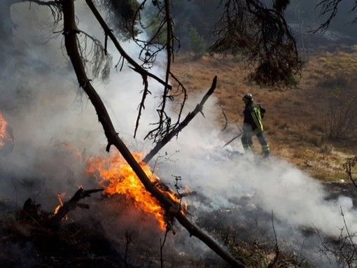 Prende il via la campagna dell’Anas per la prevenzione degli incendi