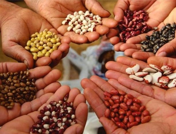 Nei reparti pediatrici degli ospedali italiani arriva la ‘Befana della biodiversità’