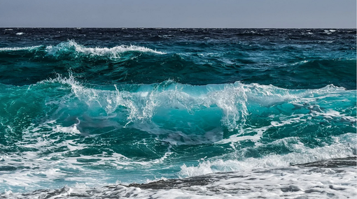 La valorizzazione del mare con laboratori e percorsi didattici per le scuole