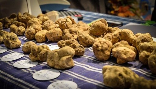 D’estate i turisti enogastronomici vanno a caccia di conoscenza, storia e tradizione