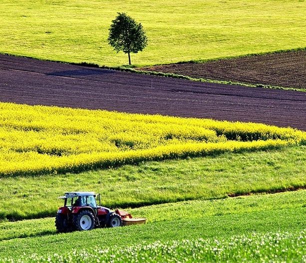 Approvazione europea alla revisione mirata della politica agricola comune