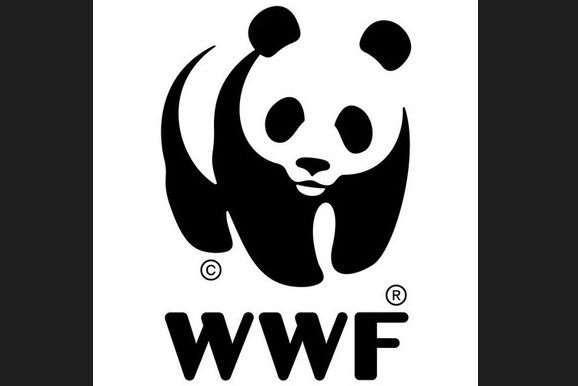 Dall’incontro di Marevivo e Wwf emerge il ‘Valore natura’ come impegno di tutti