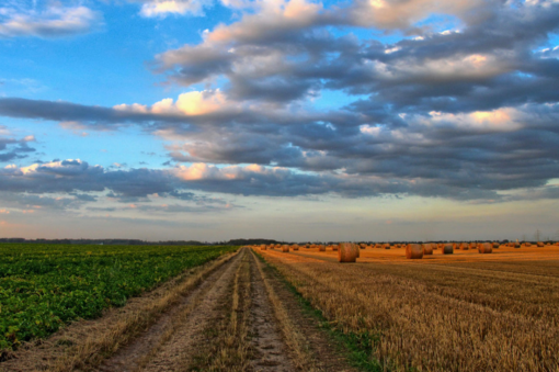È da record per export, qualità e biologico l’agroalimentare italiano