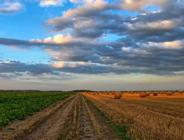 L’agroalimentare italiano verso una cabina di regia unica per gli eventi