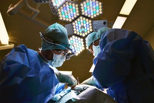 L’Ismett si conferma un’eccellenza nazionale per la cura dei tumori di fegato e pancreas