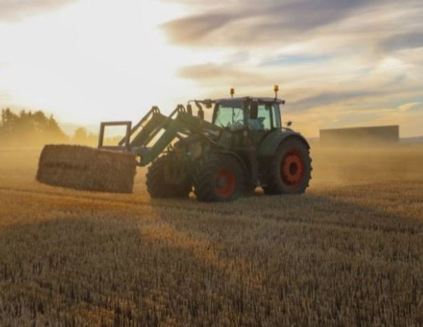 È in arrivo un nuovo fertilizzante ‘bio e green’ dagli scarti della filiera alimentare