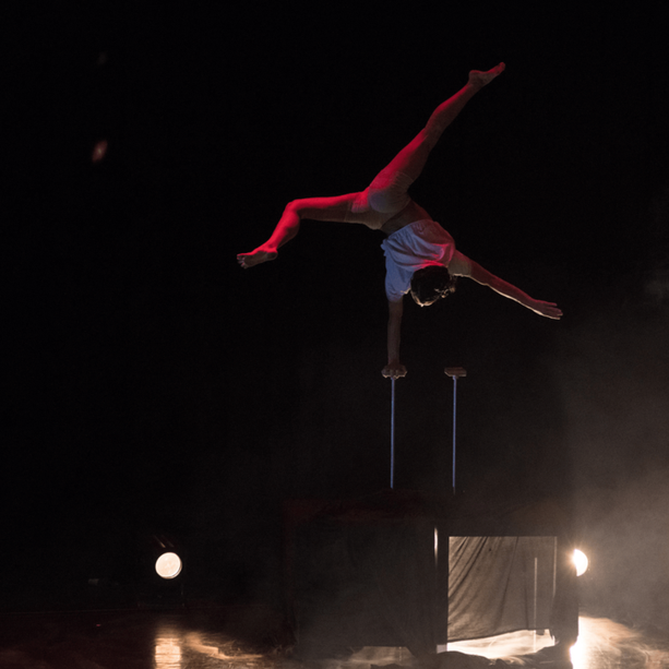 Stasera, con la passeggiata circense Classi(s)cismi,  per le vie di Asti, si accendono le luci su Asti Teatro 46