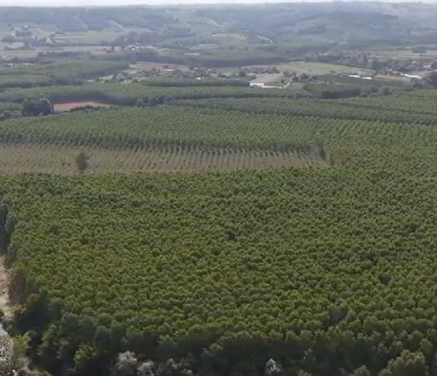 Carabinieri Forestali a tutela delle biodiversità dei fiumi astigiani: diverse le illegalità emerse nelle province di Alessandria ed Asti [FOTO E VIDEO]