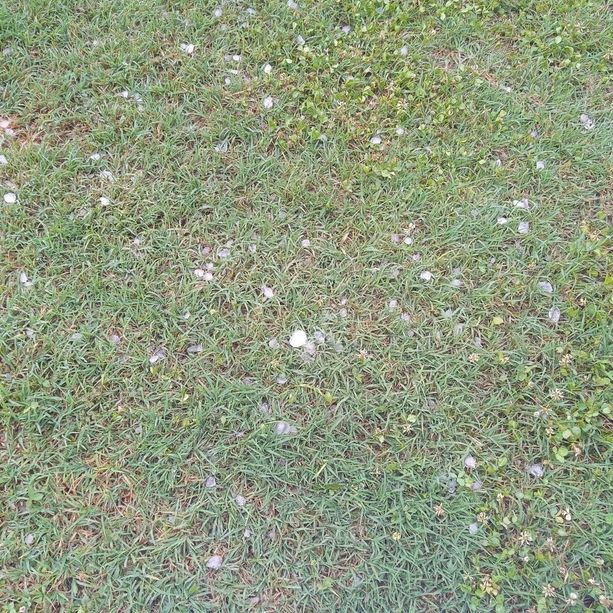 Temporale e grandine sull'Astigiano