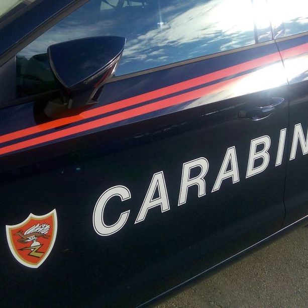 Si recano a trovare la nonna all'ospedale, ma era già stata dimessa. Continuano le denunce dei carabinieri per false dichiarazioni